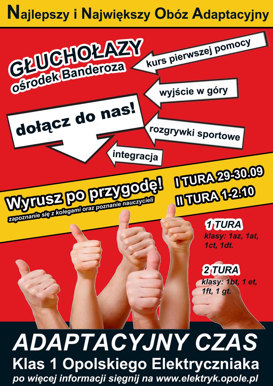 plakat-adaptacyjny