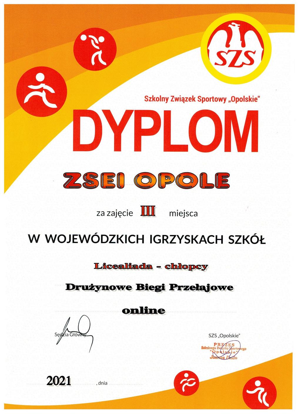 dyplom sport